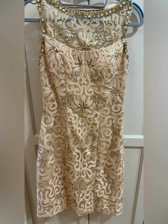 Sue Wong Dresses & Skirts - Sue Wong, Embellished Champagne Lace Sheath Dress, Size 2